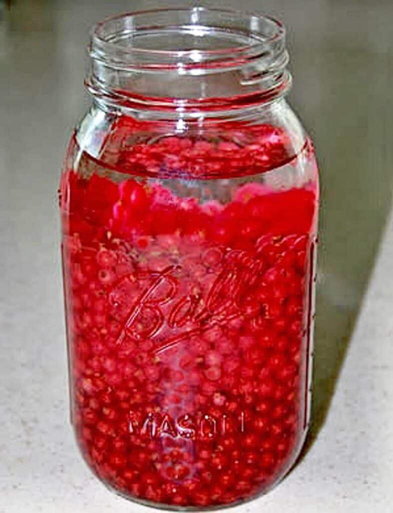 A quart Mason jar filled with fresh currants and vodka.