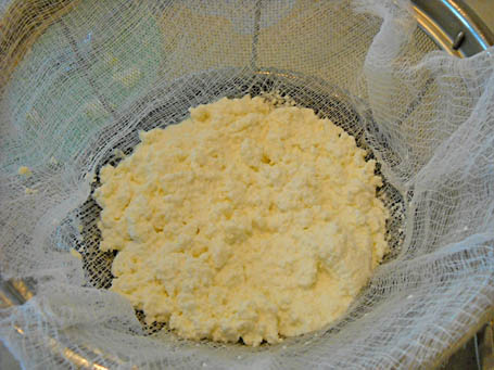 Make your own ricotta cheese