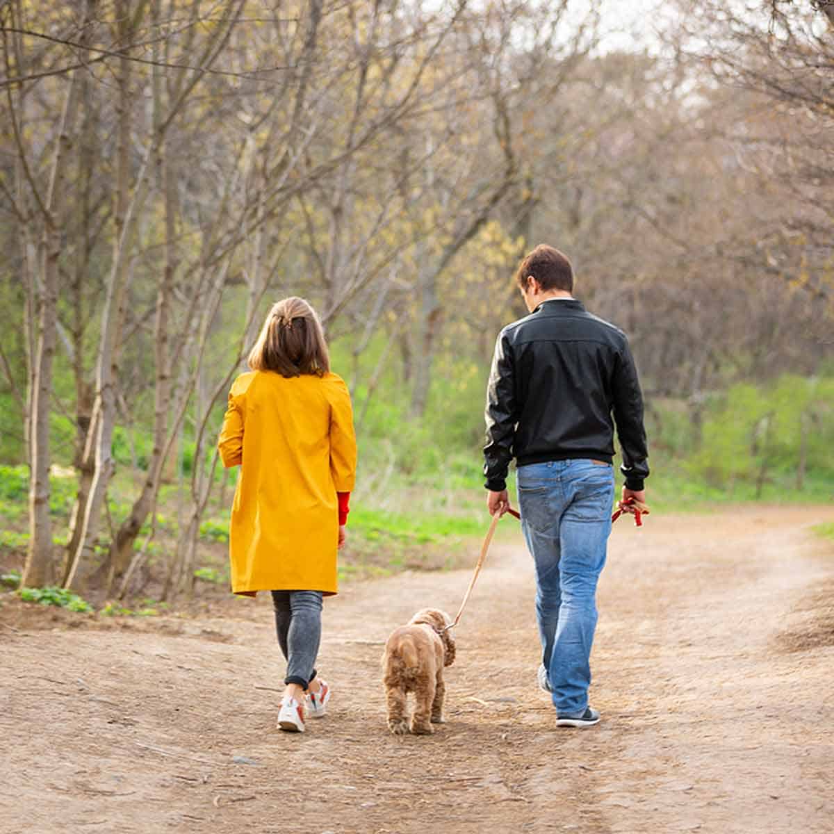 A couple walking on a dirt path with a dog.