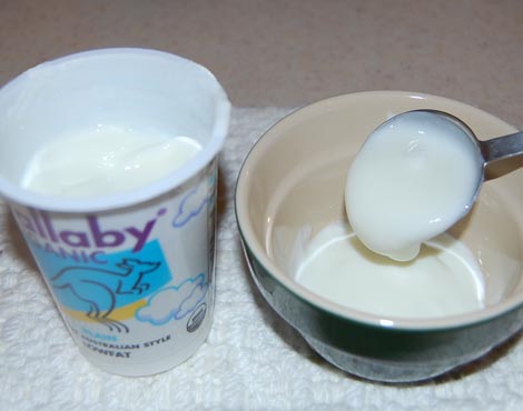 Combine the yogurt starter with milk | Happy Simple Living