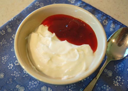 Homemade Greek yogurt with fruit goji