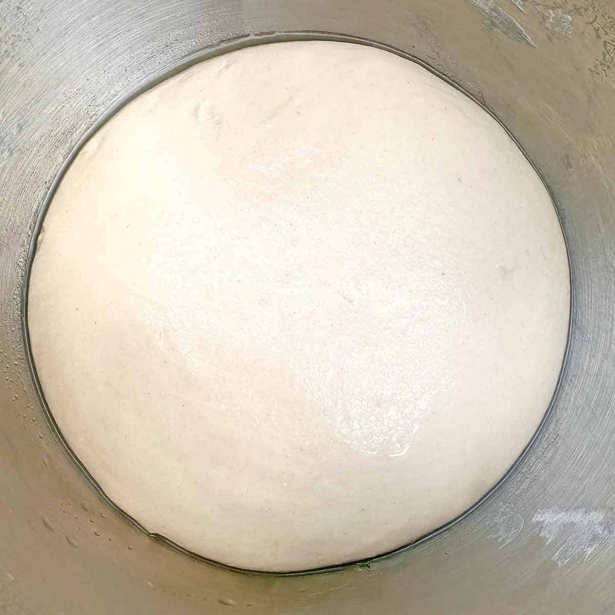 Fresh pizza dough, made with poolish.