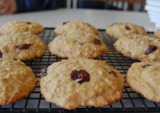 Quinoa oatmeal cookies with dried cherries