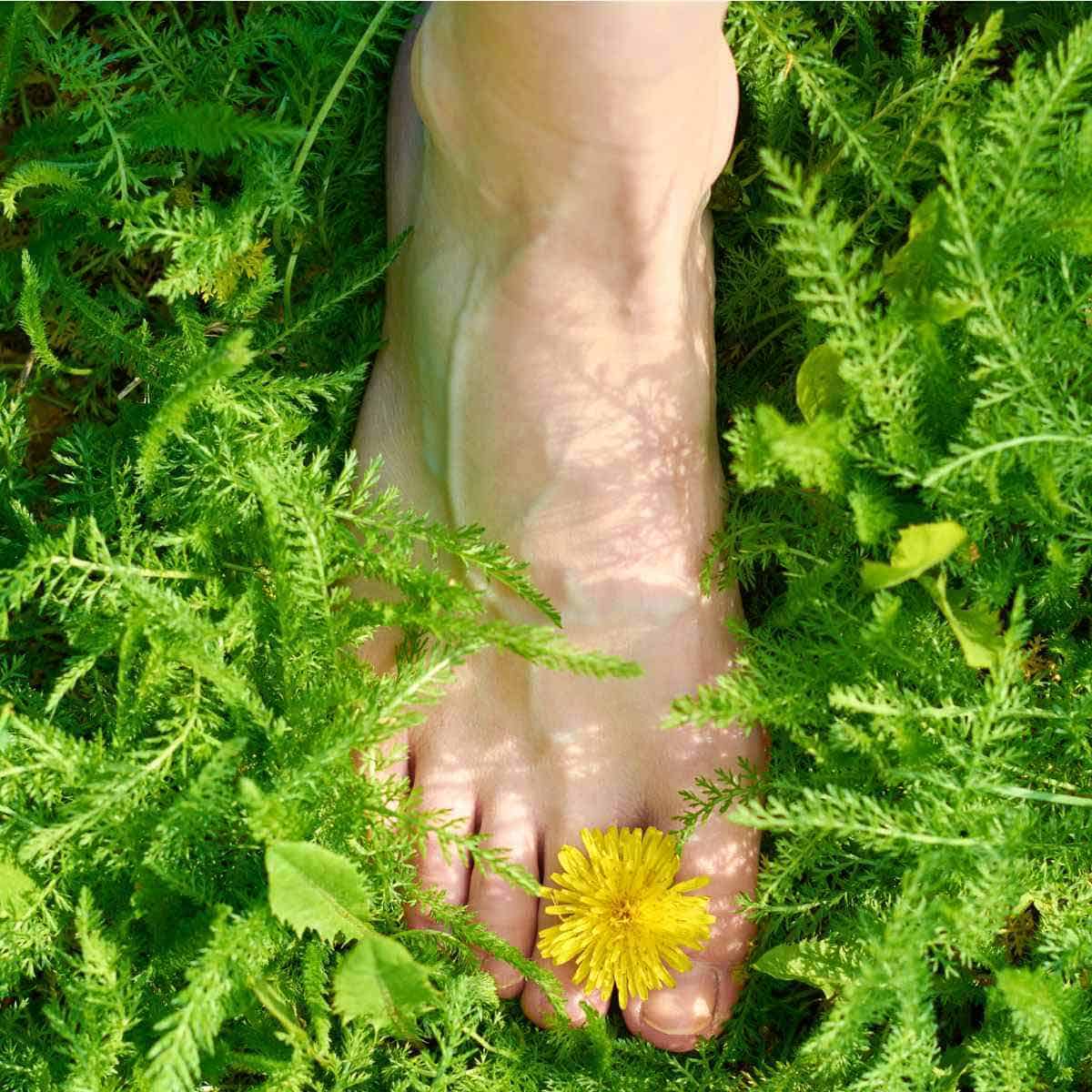 A woman's foot in the grass with dancelions.