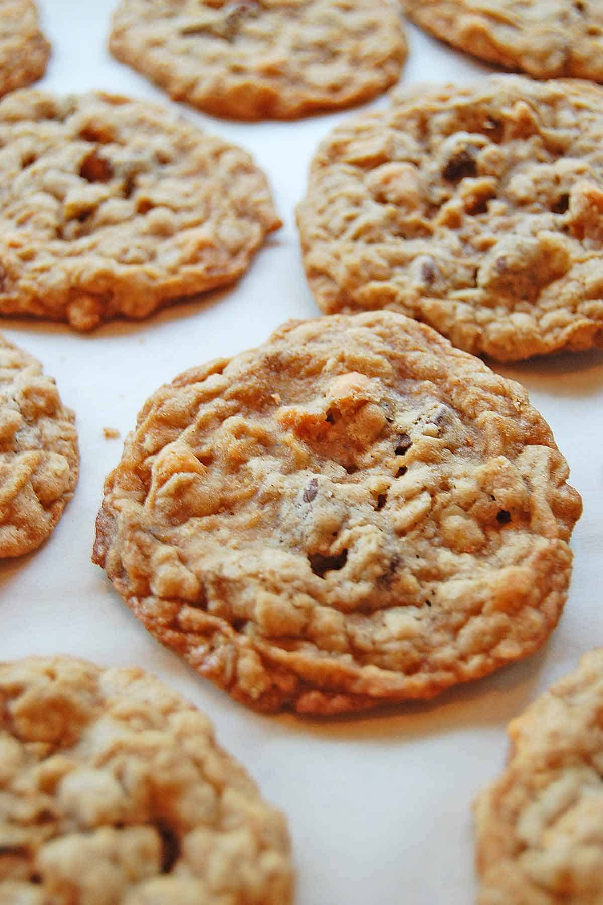 A dozen just-baked oatmeal butterscotch chocolate chip cookies.