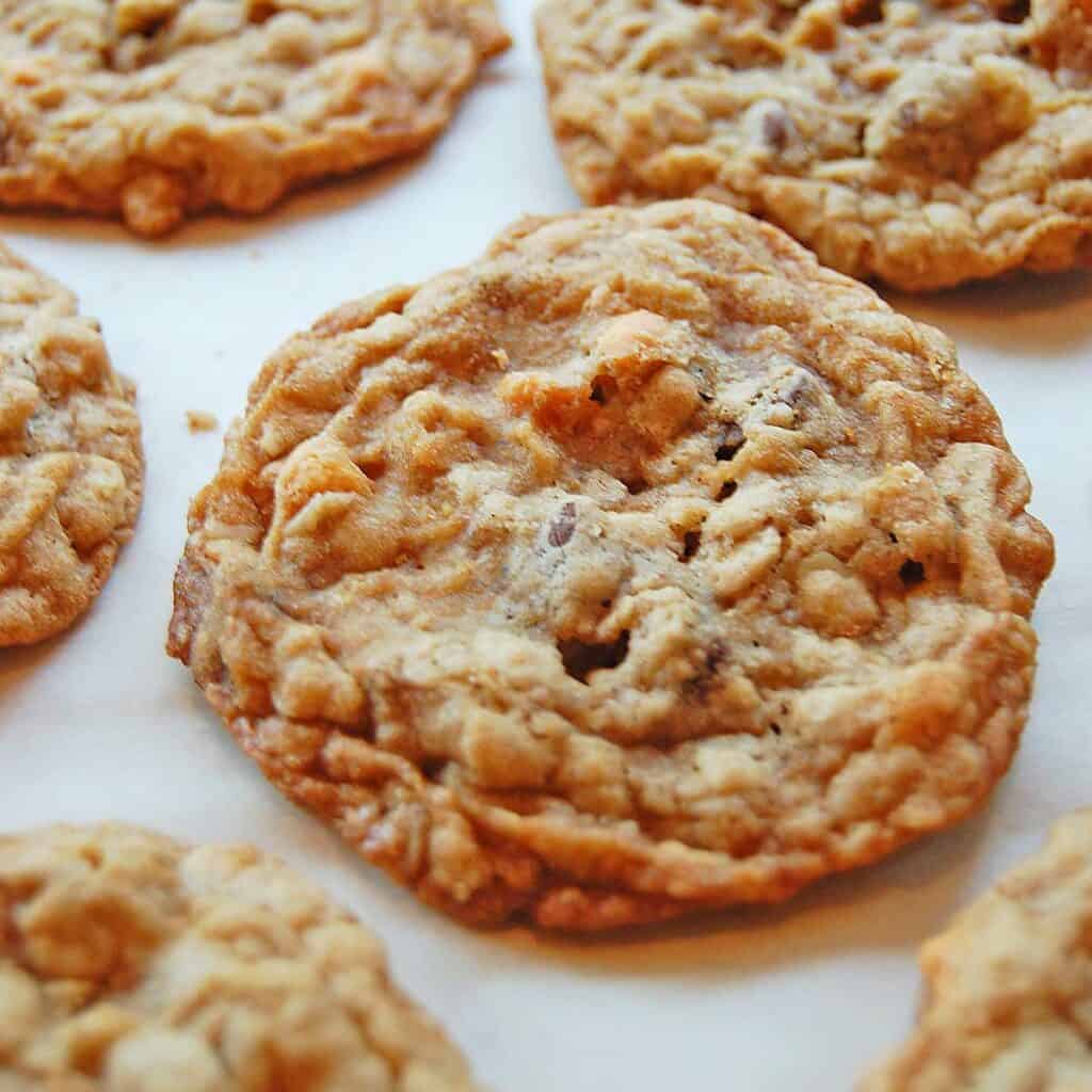 Close up of baked oatmeal cookies with butterscotch and chocolate chips.