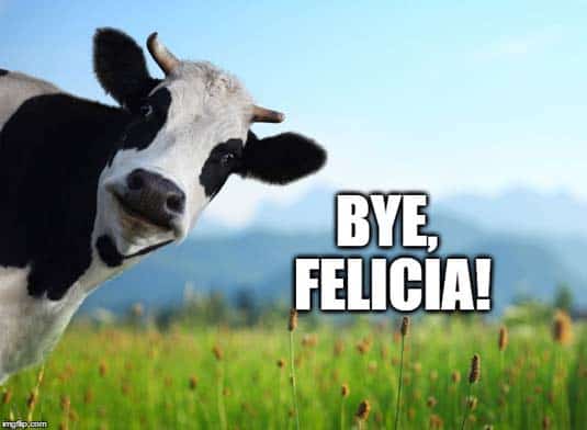bye felicia cow