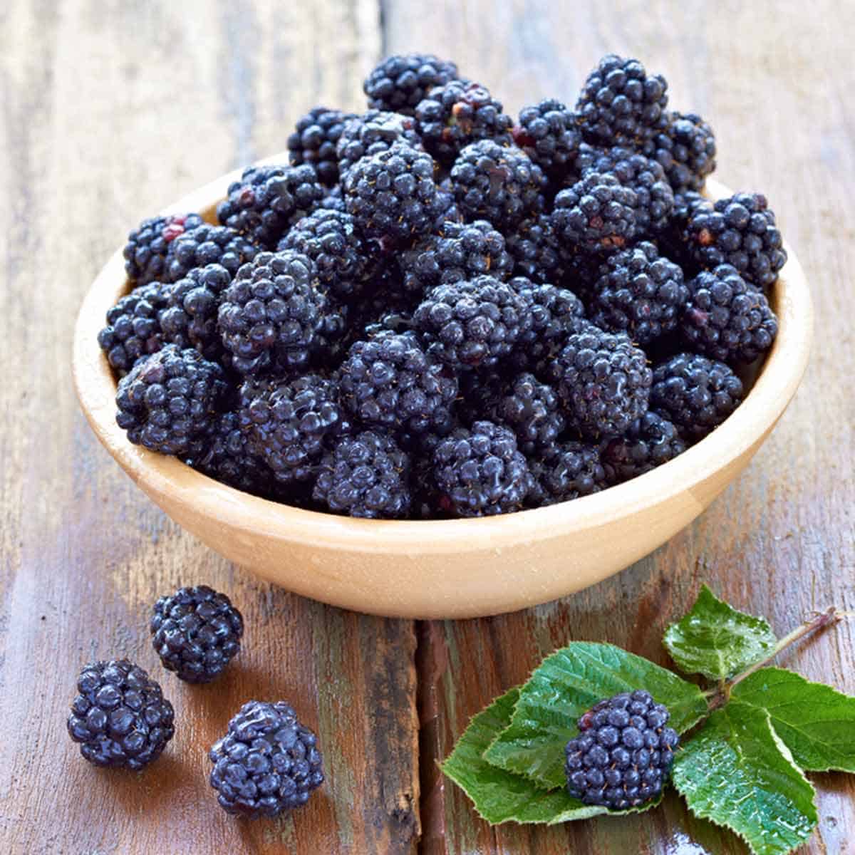 A wooden bowl filled with fresh blackberries.