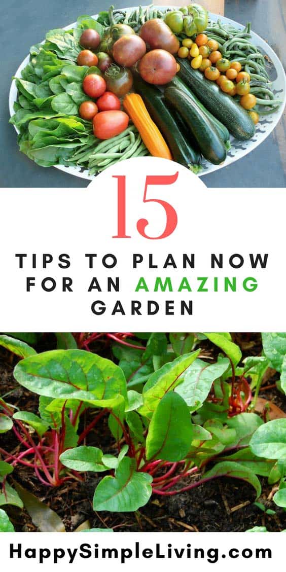 Plan your garden