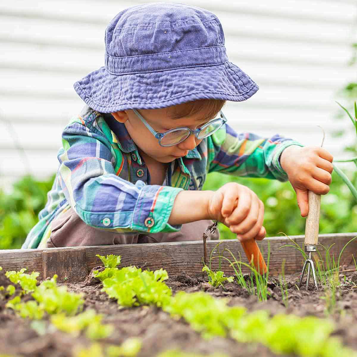 A young boy in a blue hat digging in a garden.