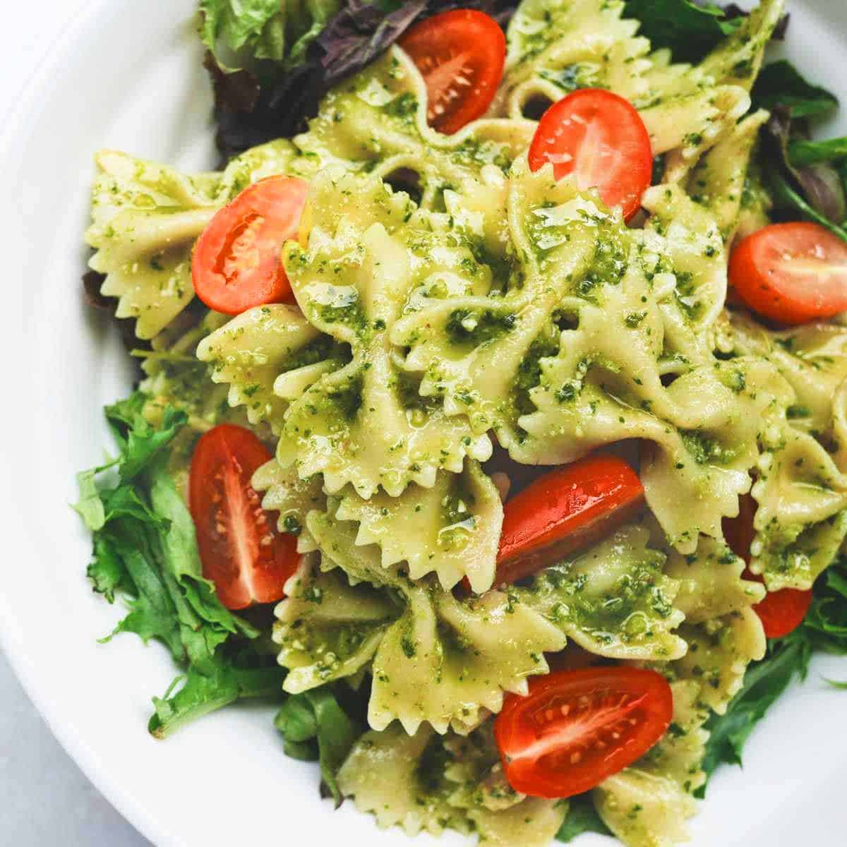 A plate of bowtie pasta with mint basil pesto sauce and chopped tomatoes.
