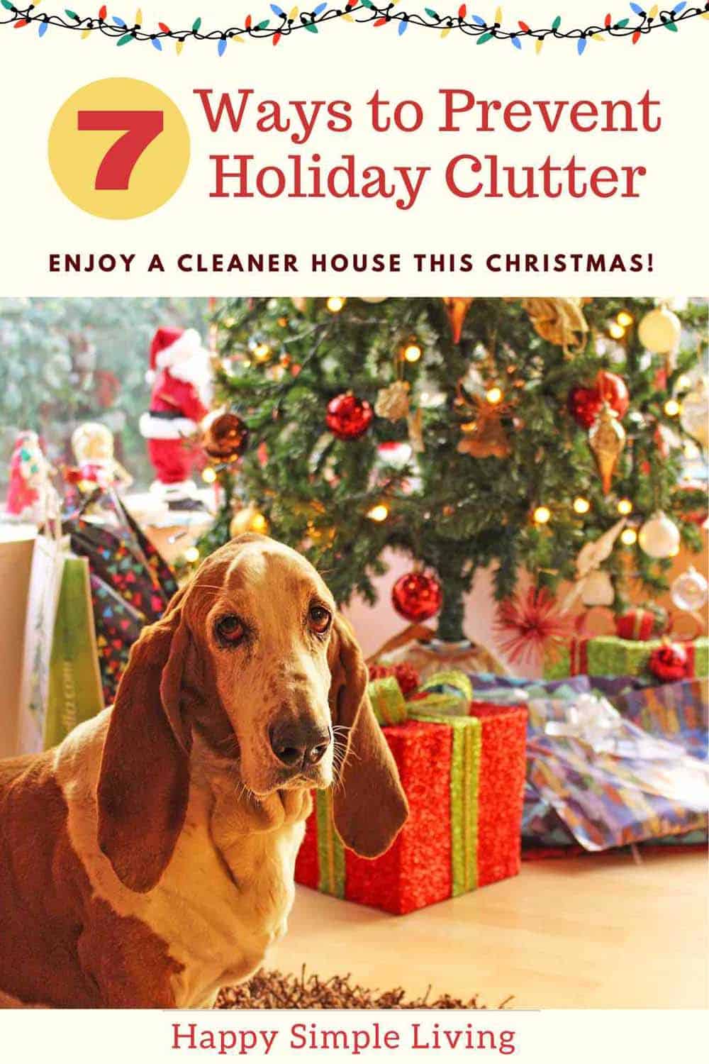 A sweet Basset hound with Christmas presents, decorations, and a tree.