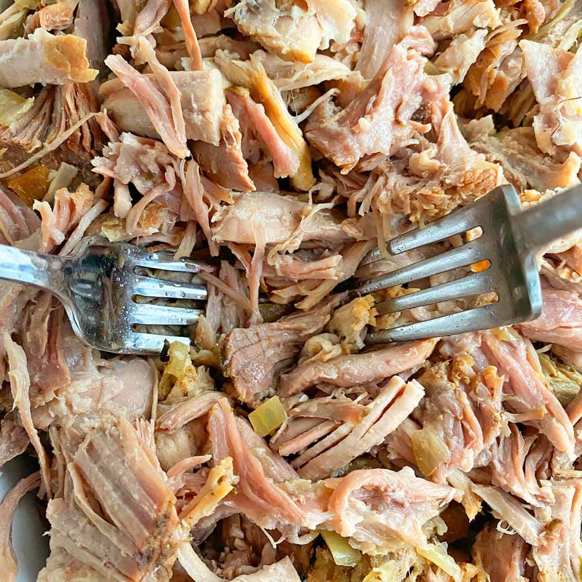Using two forks to shred cooked Carnitas.
