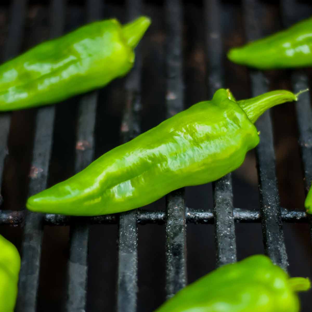 Five green chiles on a hot grill grate.