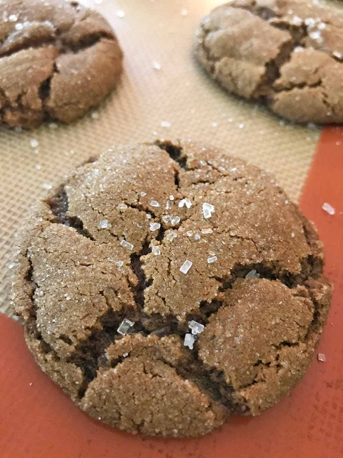 Detail of molasses crinkle cookie.