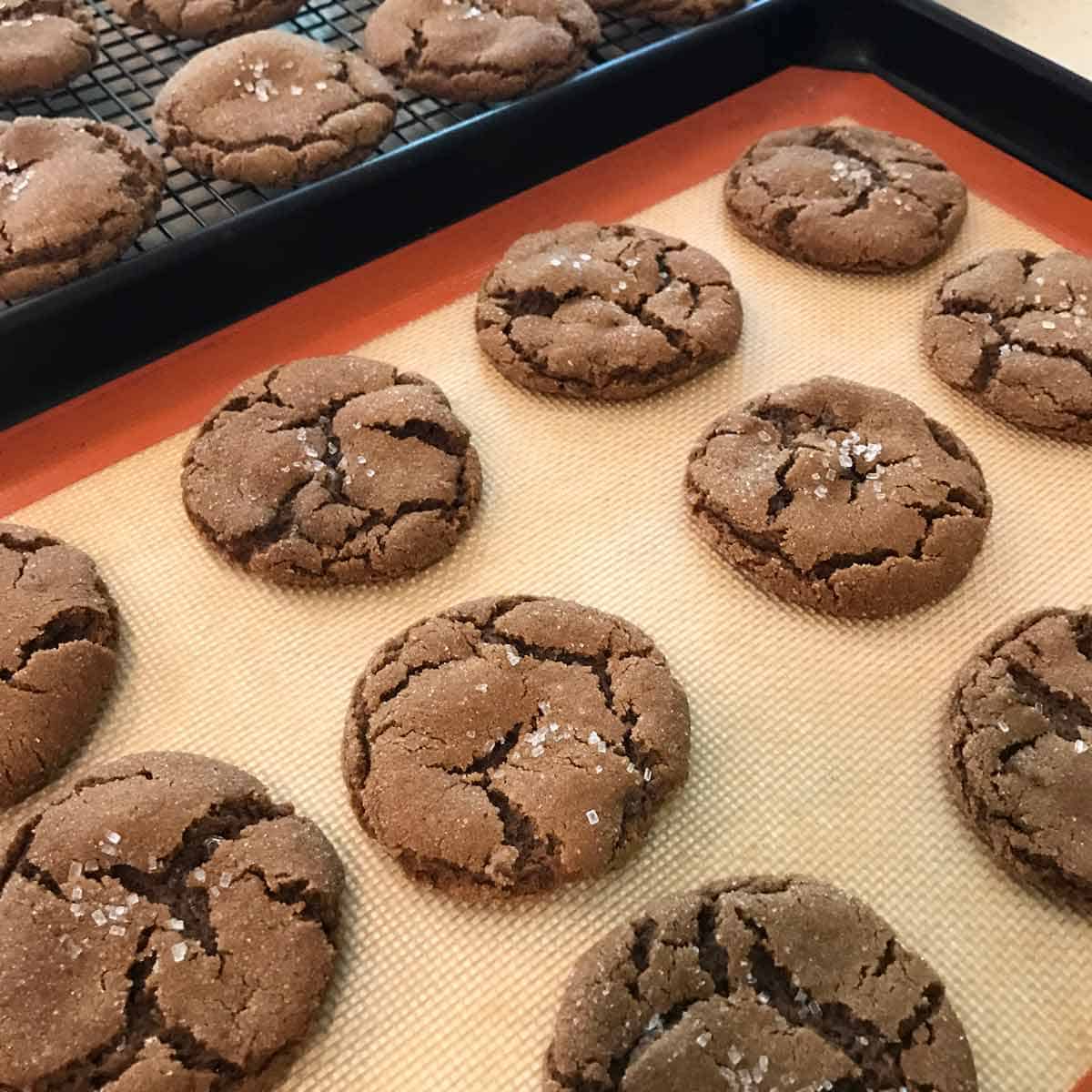 A dozen baked molasses crinkle cookies on a baking sheet.