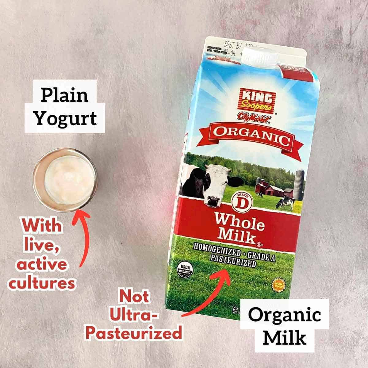 A small bowl of plain yogurt and a half gallon carton of milk.