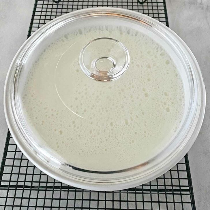 Yogurt mixture in a white casserole dish with lid.