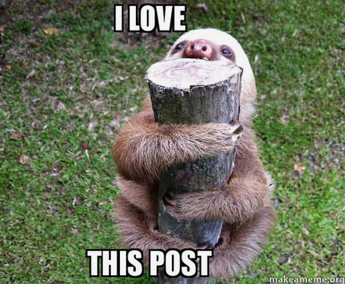 A sloth hugging a fence post.