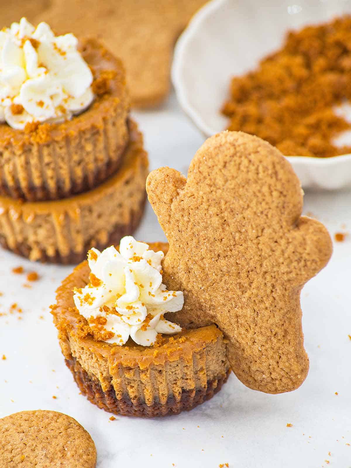 Mini gingerbread cheesecake with a gingerbread cookie on the edge.