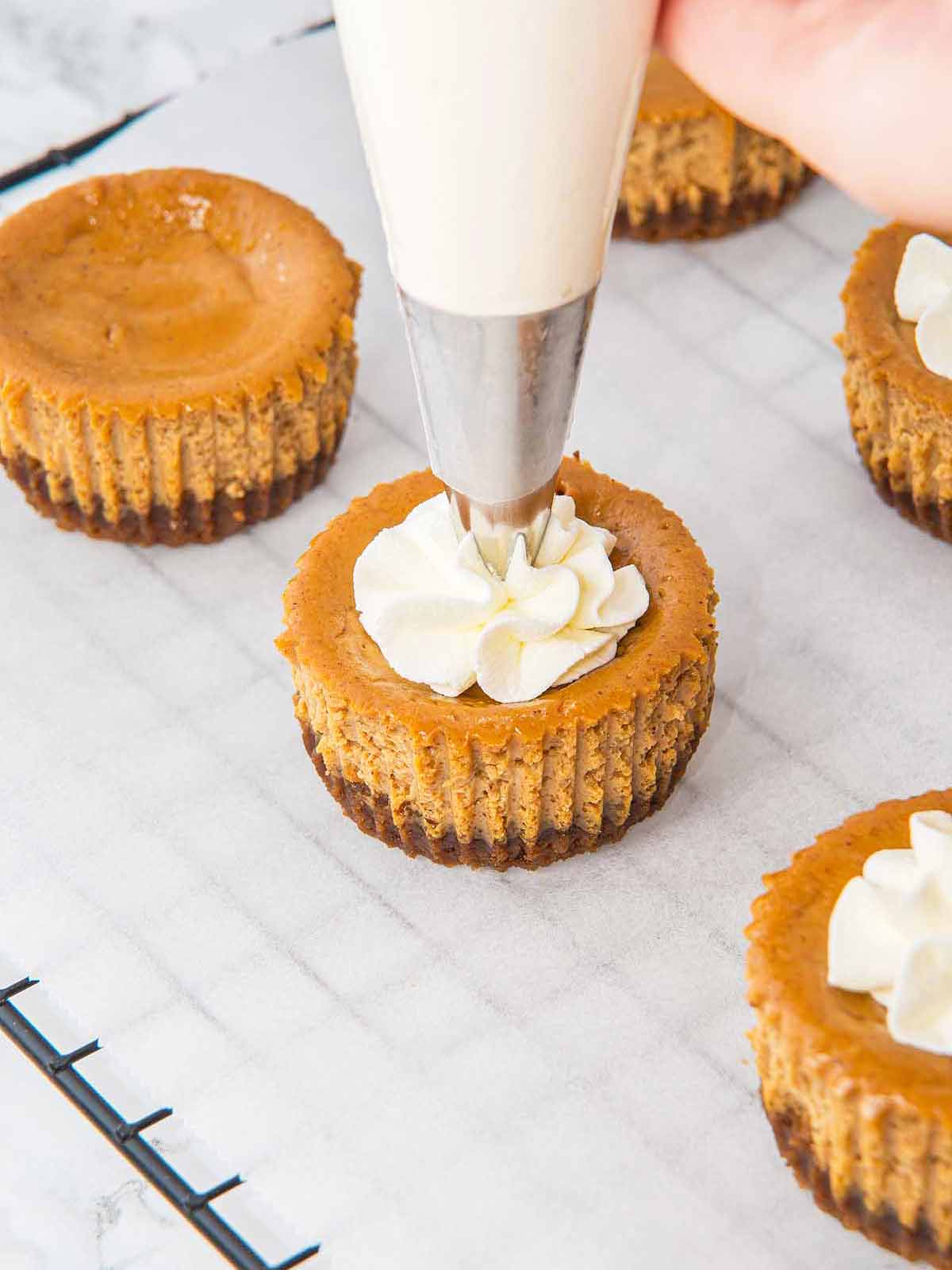Piping whipped cream on top of the gingerbread cheesecakes.