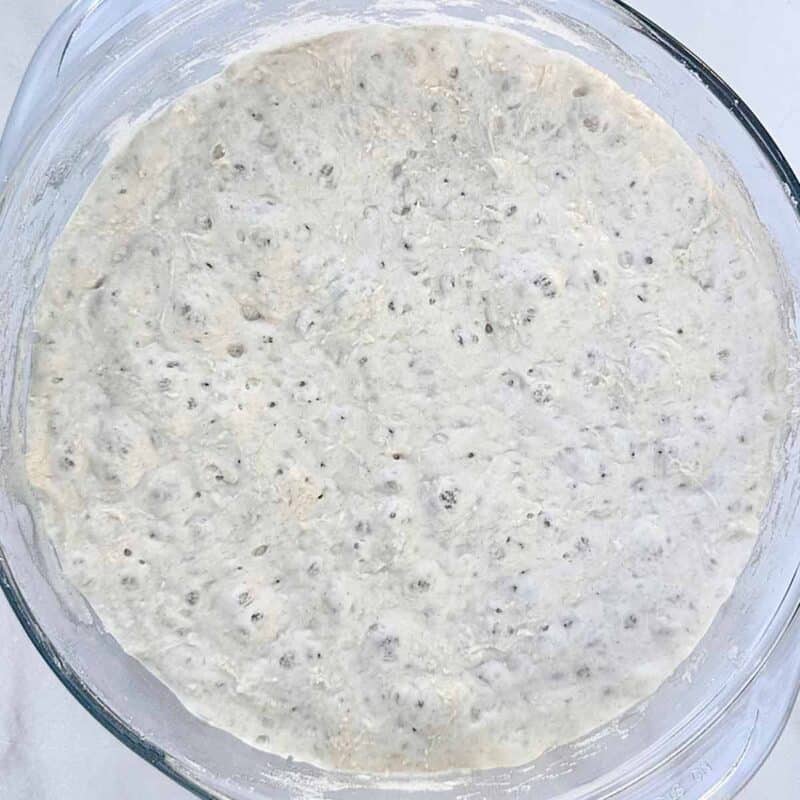 A bowl of poolish that has risen for 18 hours.